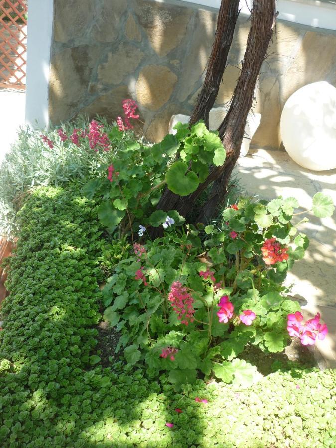 Guest House Harmony Veliko Tarnovo Exterior photo